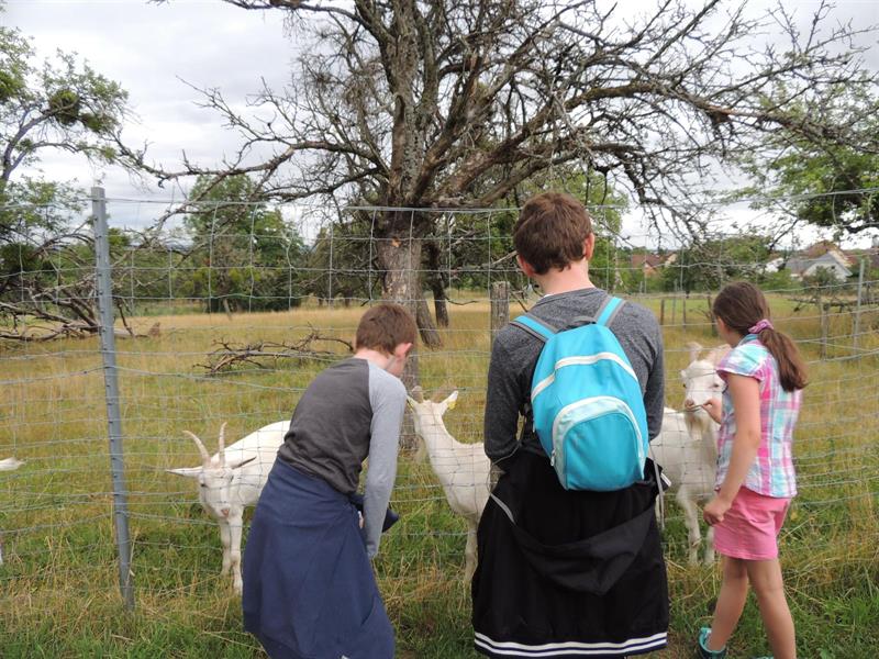 Atelier les animaux de la ferme Atelier les animaux de la ferme Cernay 2026-06-16