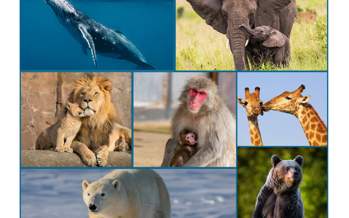 Atelier ludique et créatif "Les grands mammifères" Bibliothèque Italie Paris
