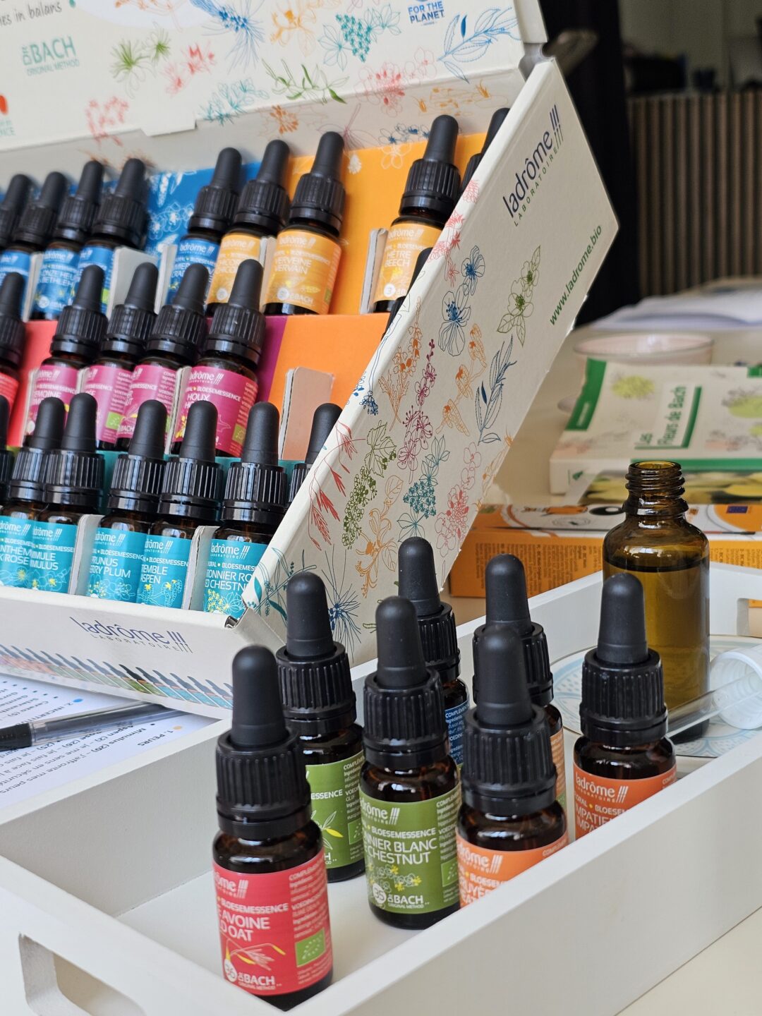 Atelier mieux être émotionnel avec les fleurs de Bach. Port du Teich Le Teich 2026-05-27