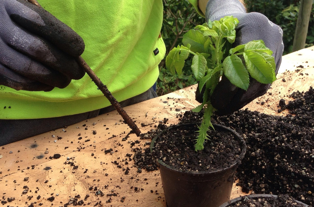 Atelier | Mon jardin d'aromatiques 2 Quai de la Navigation Eymet 2026-04-04