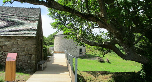 Atelier nature (3-5 ans) l'arbre dans tous ses états Le Tourp