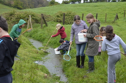 Atelier nature (6-12 ans) autour de la mare Le Tourp