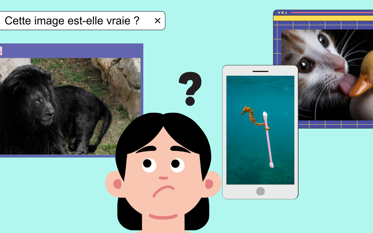 Atelier numérique : discerner le vrai du faux sur internet Médiathèque Marguerite Yourcenar Paris