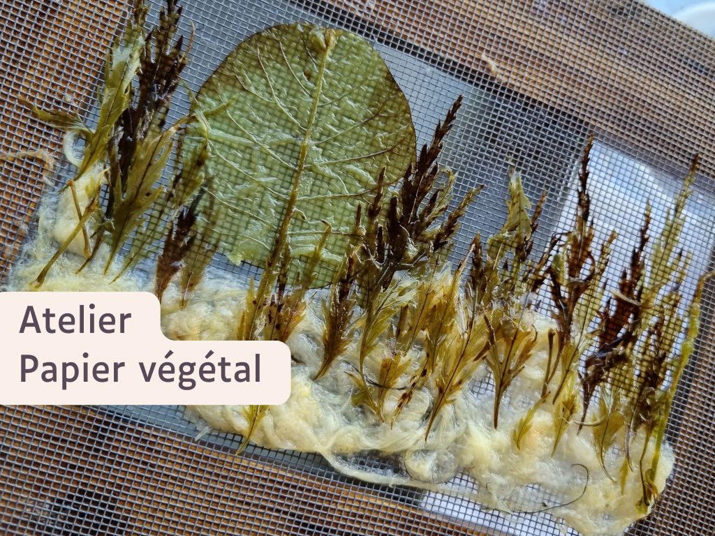 Atelier papier végétal au Moulin du Got