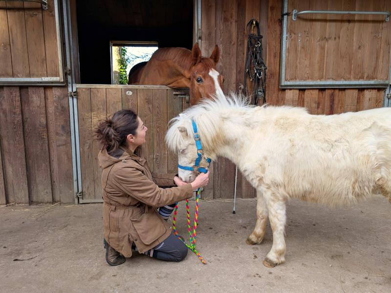 Atelier petits soigneurs 320 rue de l'église Neufchâteau 2026-04-11