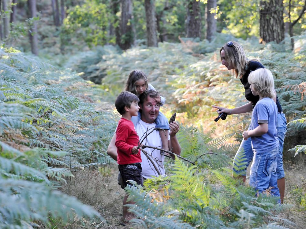 Atelier pour enfants Les secrets de la forêt En forêt au départ du sentier rose Seignosse 2026-04-08