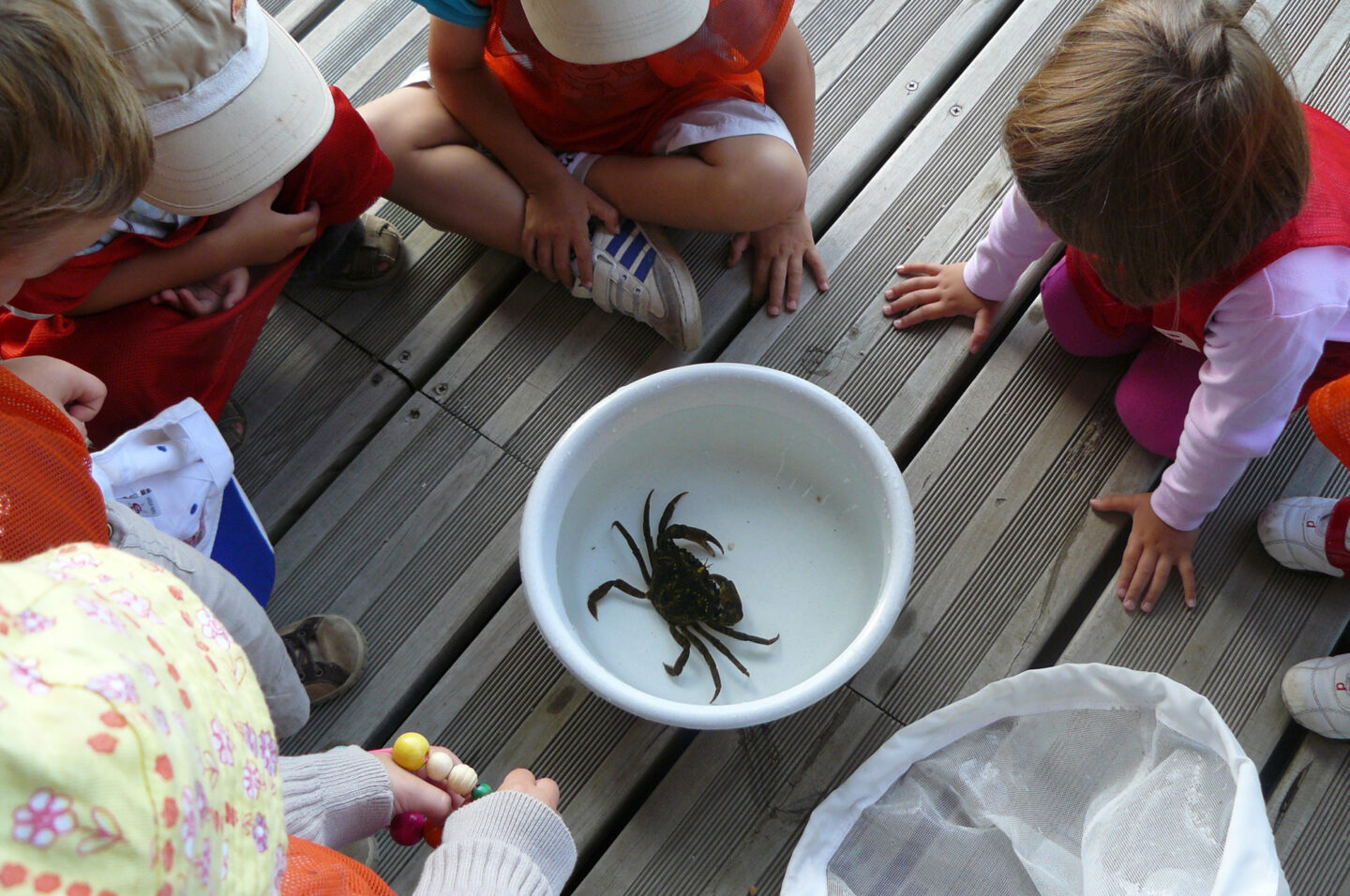 Atelier rencontre biodiversité 297 avenue de l'Adour Anglet 2026-05-31