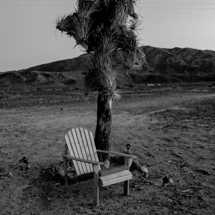 Attention aux vieilles dames rongées par la solitude