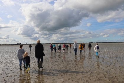 Baie des Veys : ses oiseaux