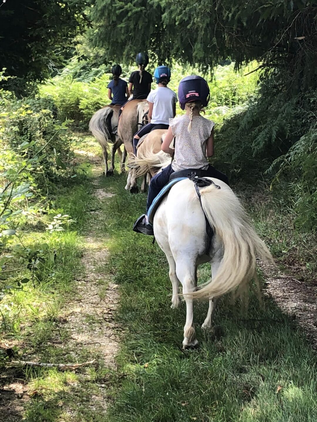 Balade à poney 498 Route de Bellevue Nantheuil 2026-07-10