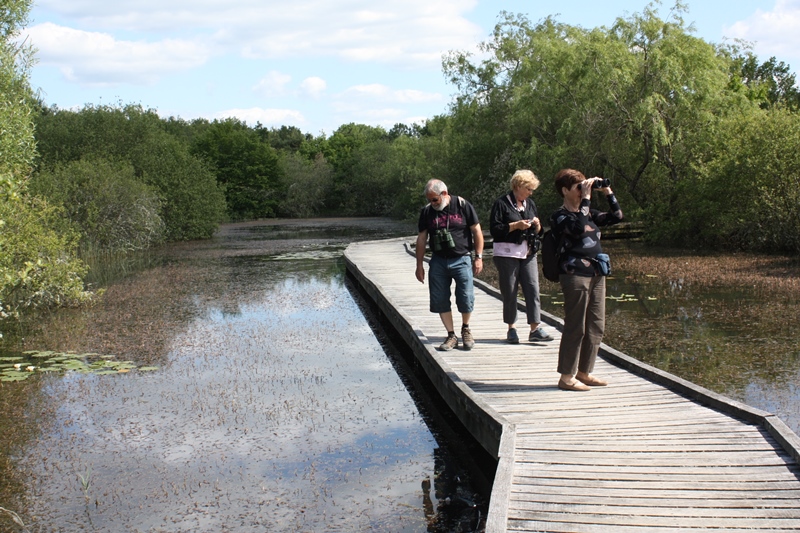 Balade accompagnée  Saint-Michel-en-Brenne 2026-04-01