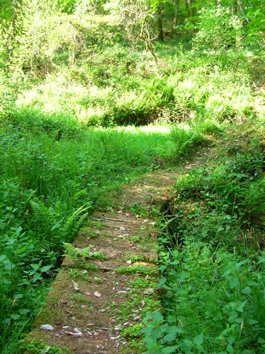 Balade au Lavoir de Brézenty Fleurat