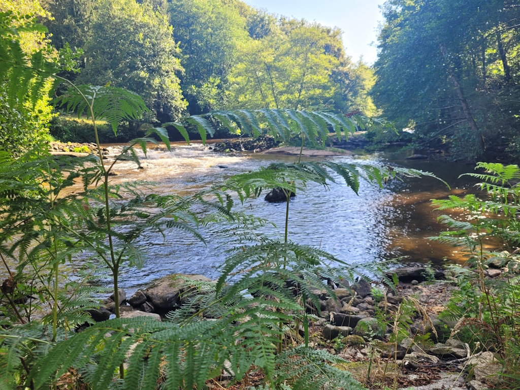 Balade bien-être au fil de l'eau en juin  Bessines-sur-Gartempe 2026-06-06