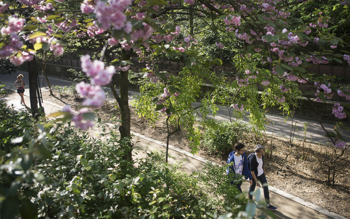 Balade conviviale : les couloirs verts du 12e Centre Paris Anim' / Centre Social Annie Fratellini Paris