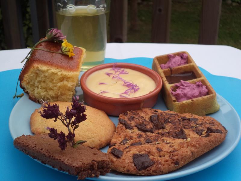 Balade cueillette et goûter nature pour les enfants 6 rue du Pont Frebécourt 2026-04-23