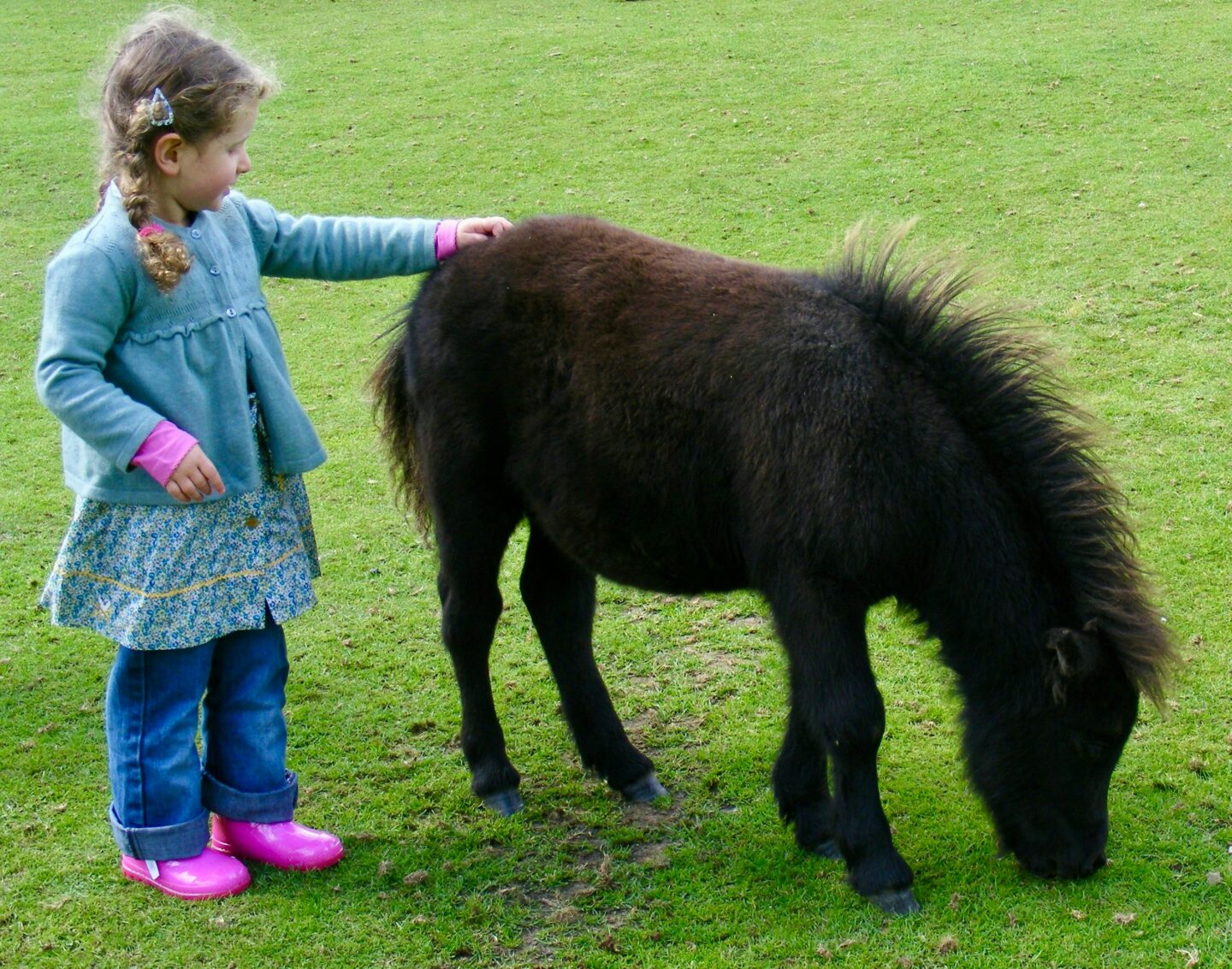 Balade de Pâques au ranch de Chadenac Route de Chadenac Chauffour-sur-Vell 2026-04-05