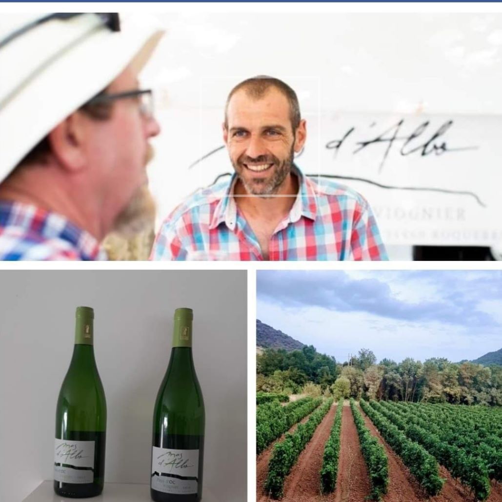 BALADE DES SAVEURS– IMMERSION AU CŒUR DU VIGNOBLE Roquebrun