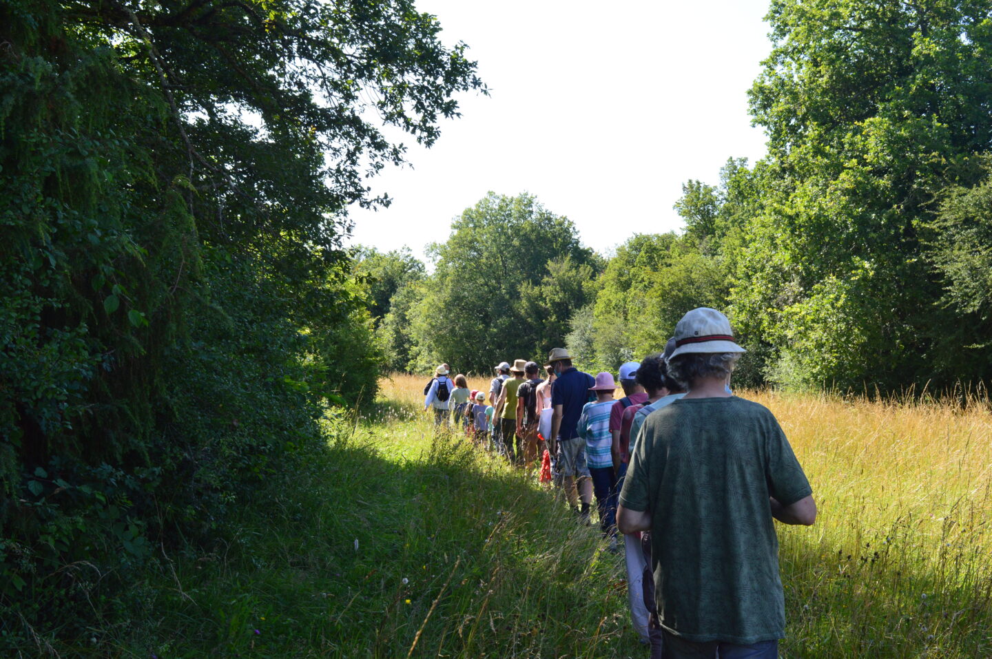 Balade du Ventoulou à la Réserve Lacoste Mayrinhac-Lentour 2026-07-07