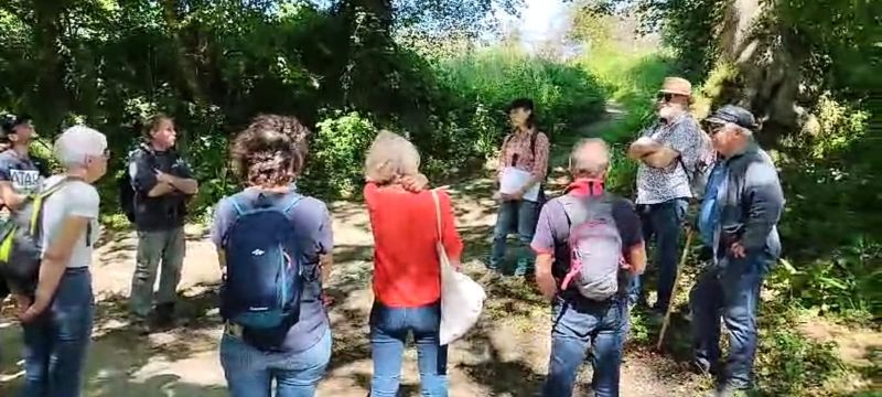 Balade en baskets visite sportive du bocage