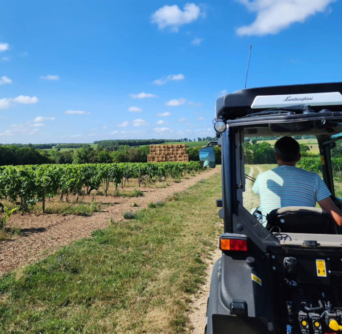 Balade en tracteur au coeur du Vignoble Domaine de la Chevalerie - Vignoble Pelletant Saint-Amant-de-Nouère