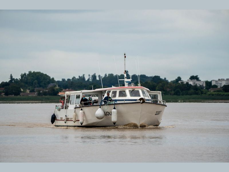 Balade fluviale pour les Portes ouvertes en Côtes de Bourg Balade fluviale pour les Portes ouvertes en Côtes de Bourg Au port Bourg 2026-05-09