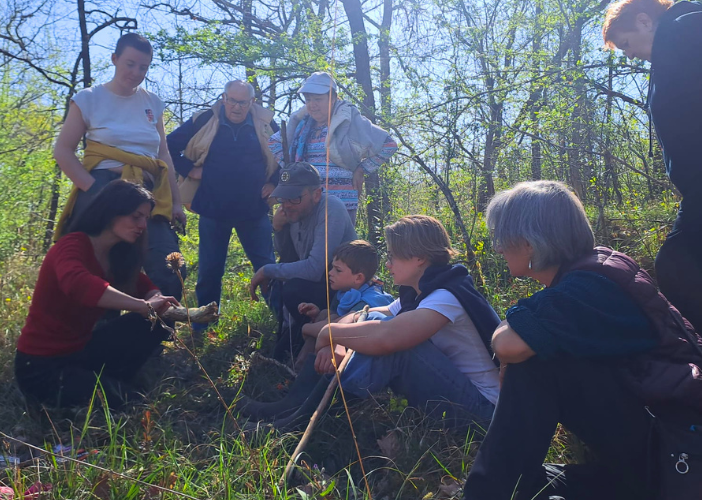 Balade guidée A la rencontre des insectes 1 Avenue Charles de Gaulle Saint-Germain-de-la-Rivière 2026-04-15