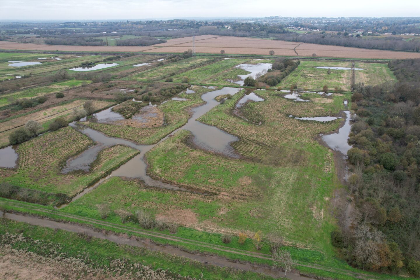 Balade guidée découverte de la Virvée Saint-Romain-la-Virvée