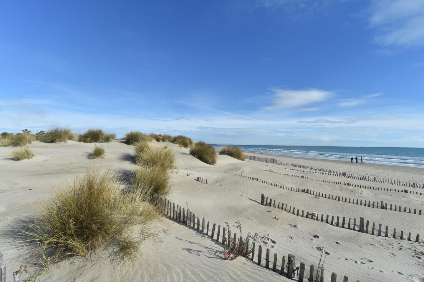 BALADE LITTORAL  Vendres 2026-07-04