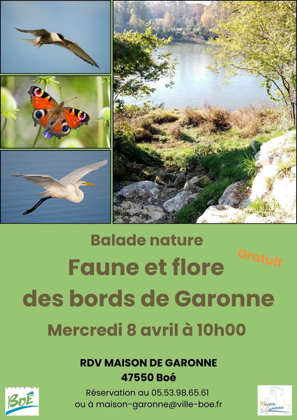 Balade nature faune et flore des bords de Garonne Maison de Garonne Boé 2026-04-08