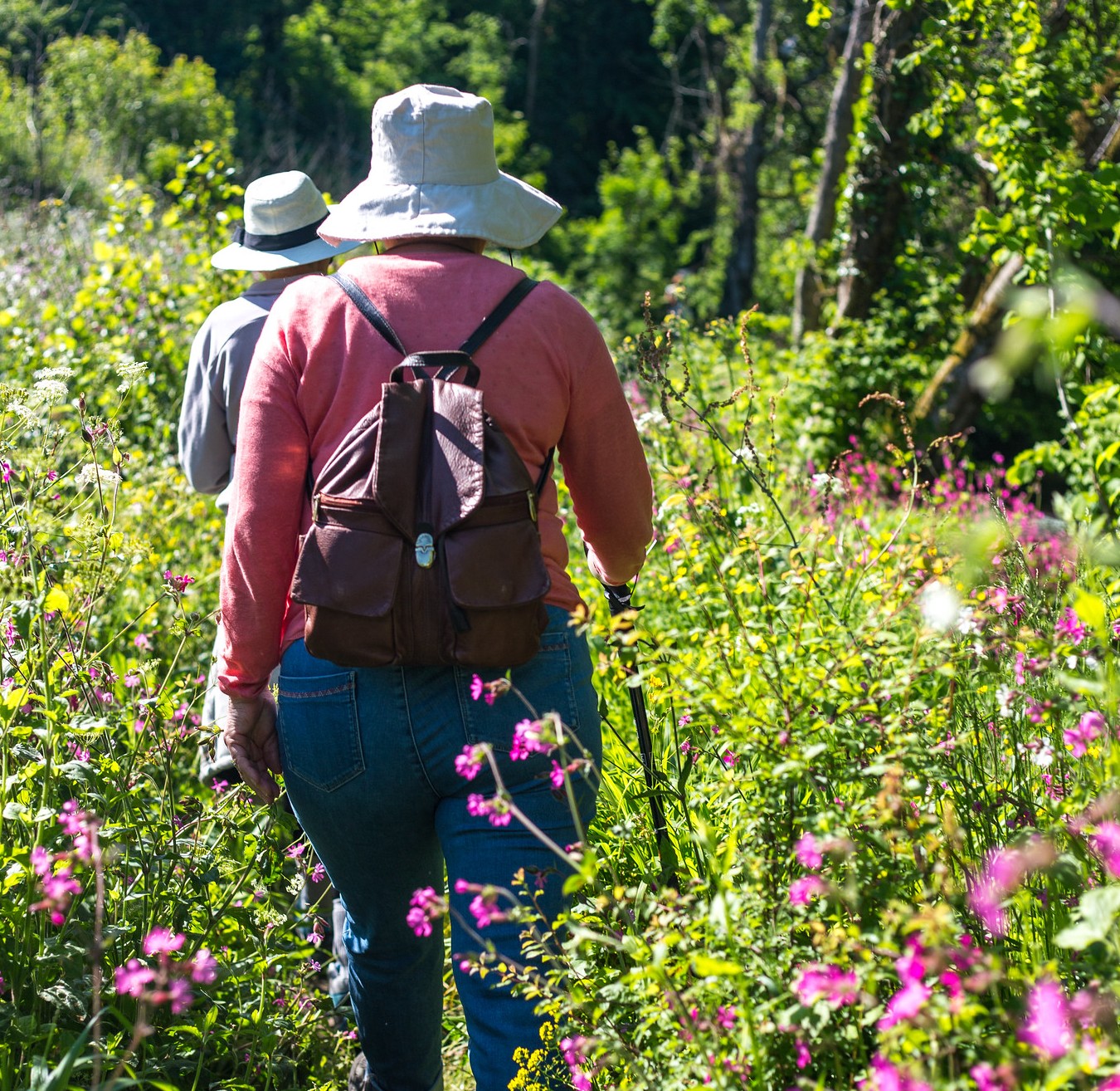 Balade nature la flore des sous-bois au printemps Cubnezais 2026-04-12