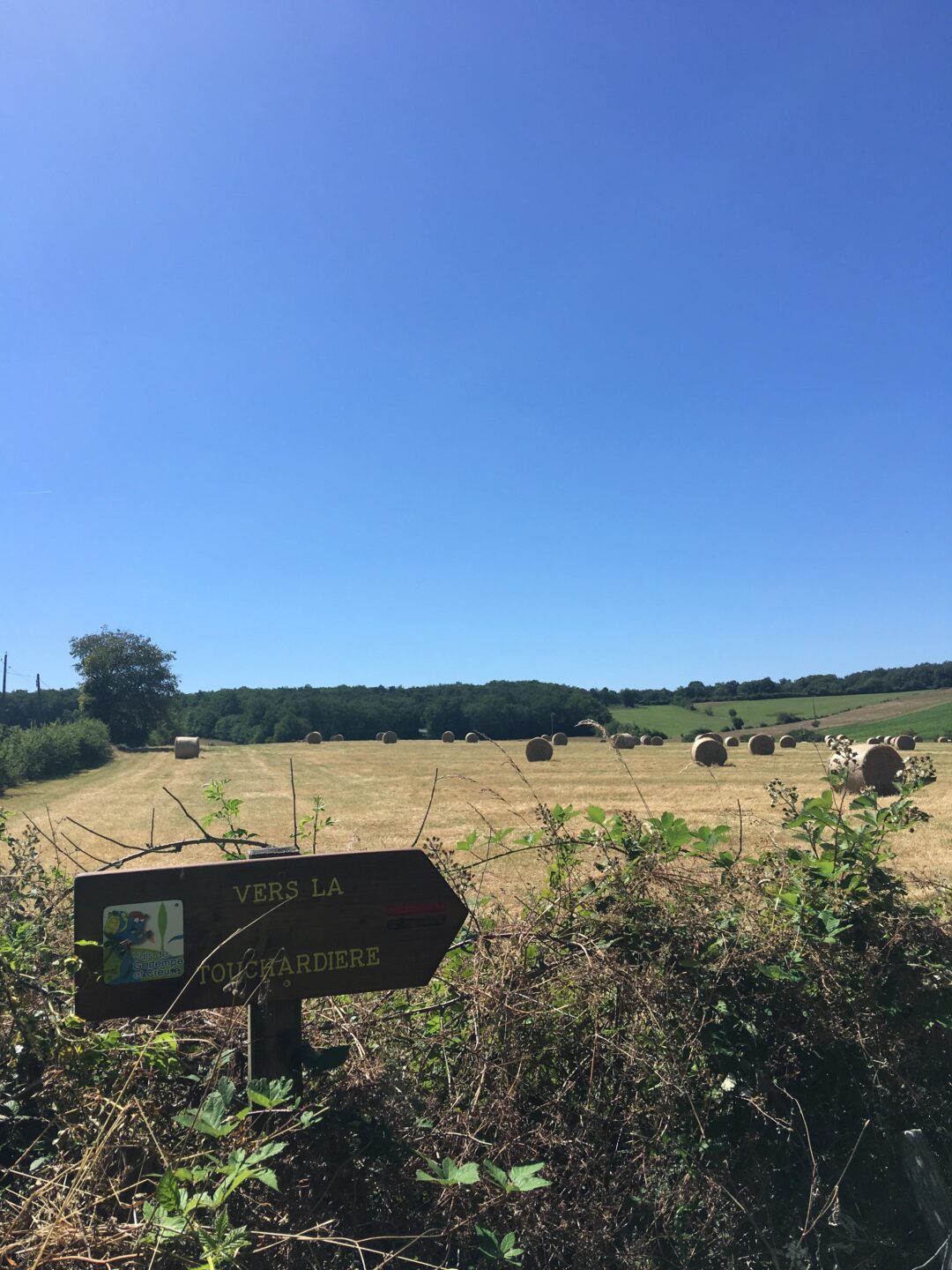 Balade nature 14 boulevard Victor Hugo La Roche-Posay 2026-04-15