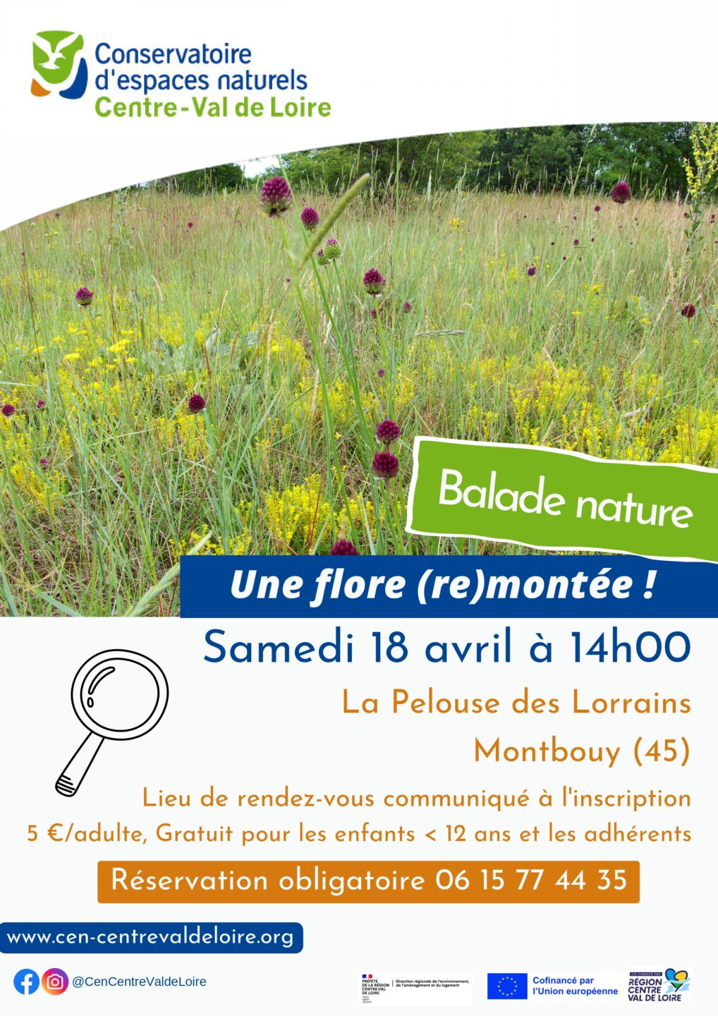 Balade nature  Montbouy 2026-04-18