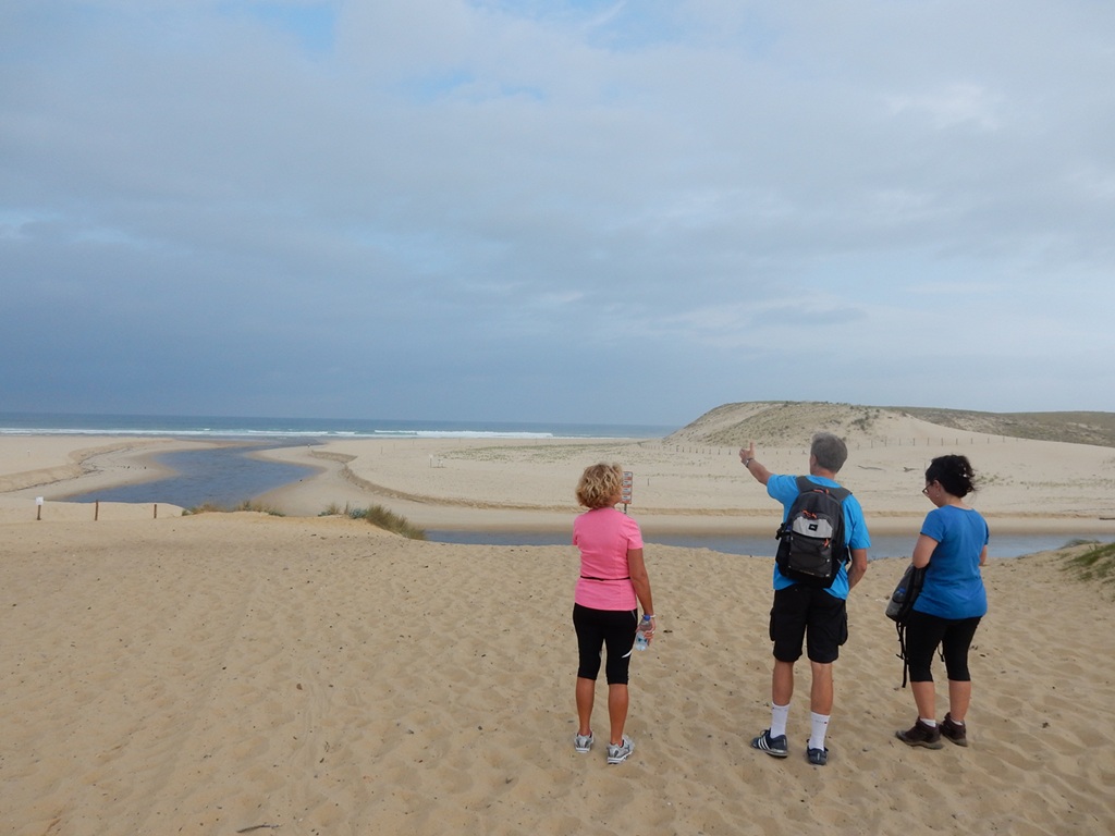 Balade Pédestre guidée 20 Rue du Général Caunègre Moliets-et-Maa 2026-07-30