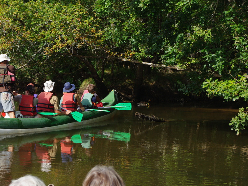 Balade sur le Delta de la Leyre en canoë collectif entre Biganos et Audenge 20 allées de Boissière Audenge 2026-04-08