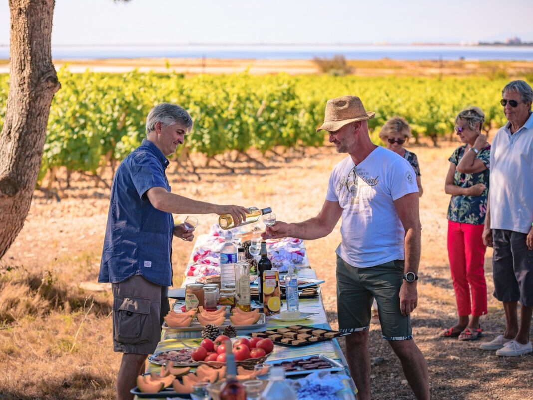 BALADE VIGNERONNE  Gruissan