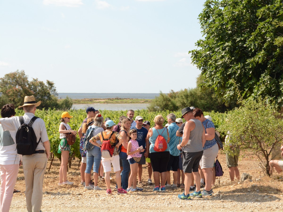 BALADE VIGNERONNE Boulevard du Pech Maynaud Gruissan 2026-10-11