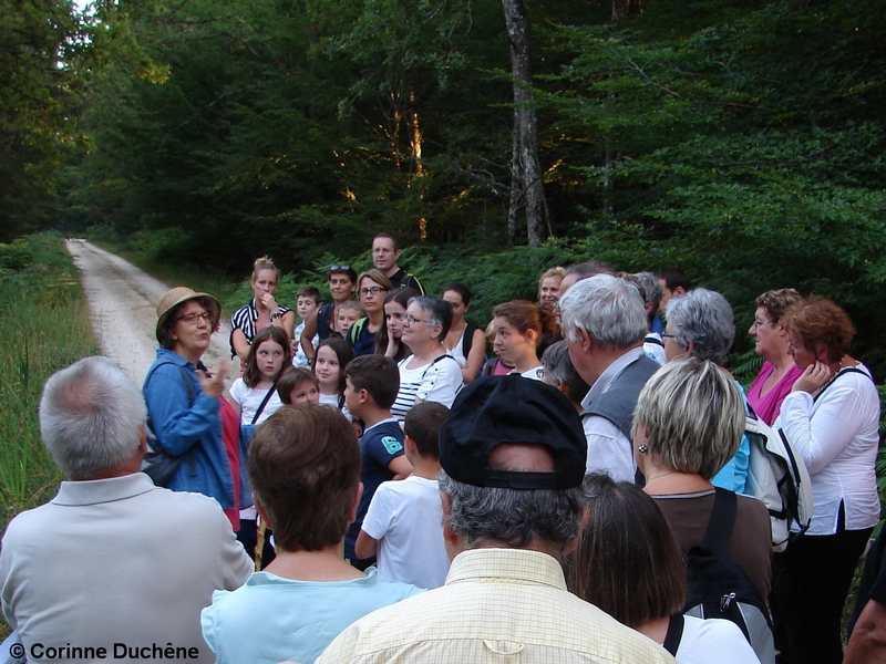 Balades contées en Val de Creuse avec la conteuse Corinne Duchêne Rue de Creuse Saint-Gaultier 2026-08-12