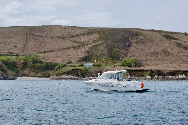 Balades en mer 3h00 avec Sû la mé Camping du Hable La Hague 2026-06-01
