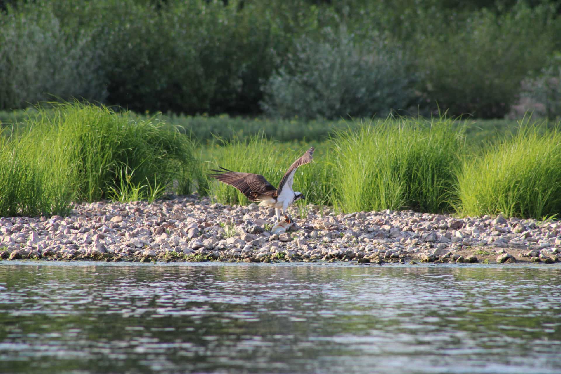 Balades improvisées Mézières-lez-Cléry 2026-03-24