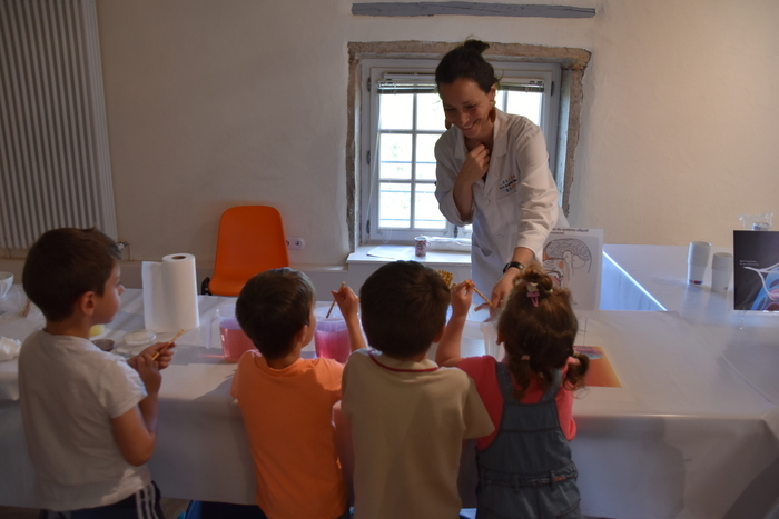 Bar à expériences : la science a du goût ! Musée Claude Bernard Saint-Julien