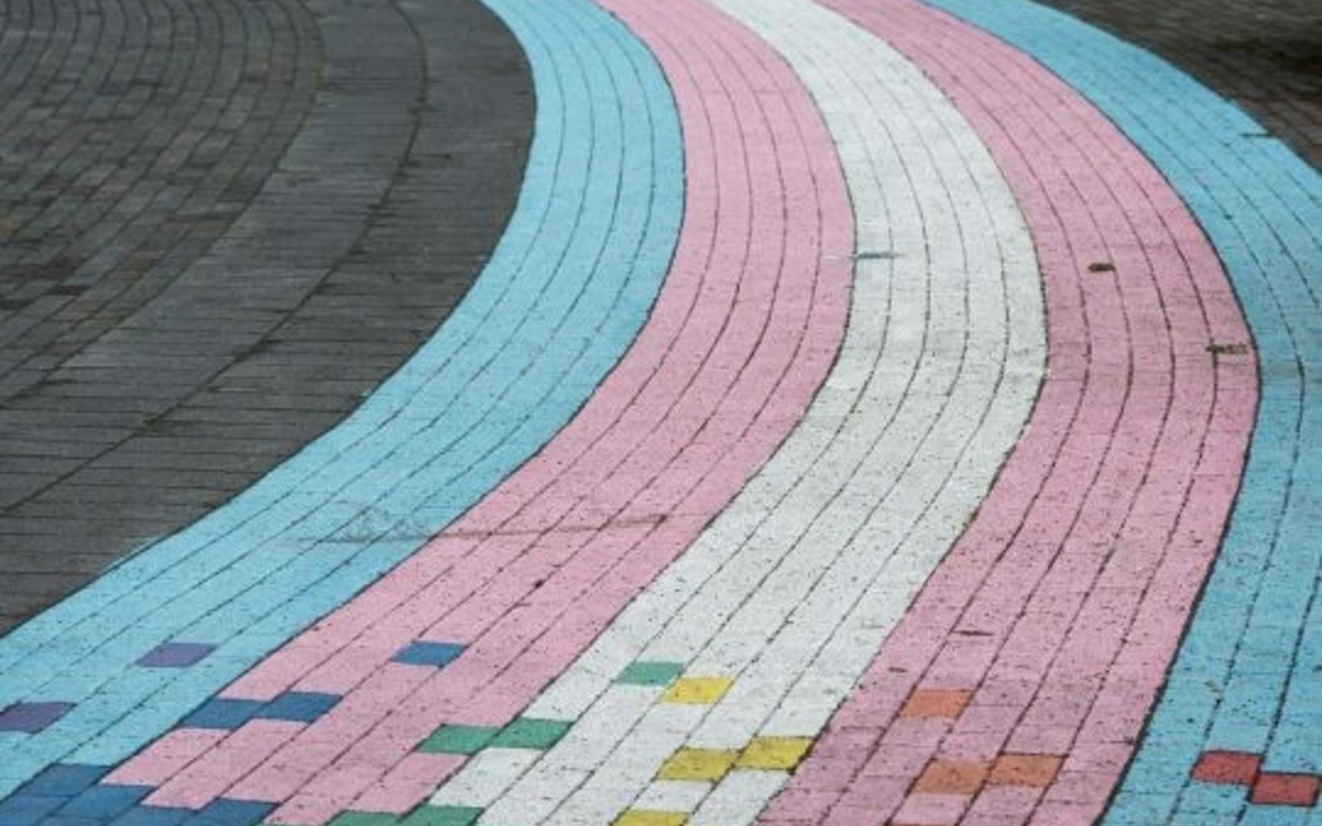 Belgian Theory #1 : Hors des normes ? Les personnes trans dans la société Centre Wallonie-Bruxelles  Paris
