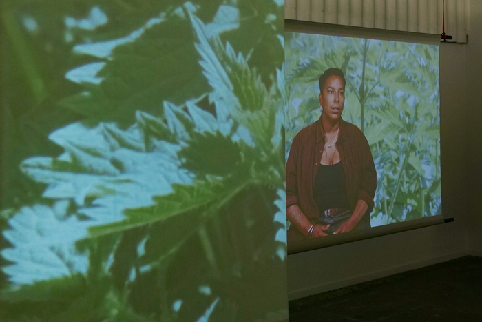 Beyond Pink & Green. Bonella Holloway Chapelle des Carmélites Toulouse