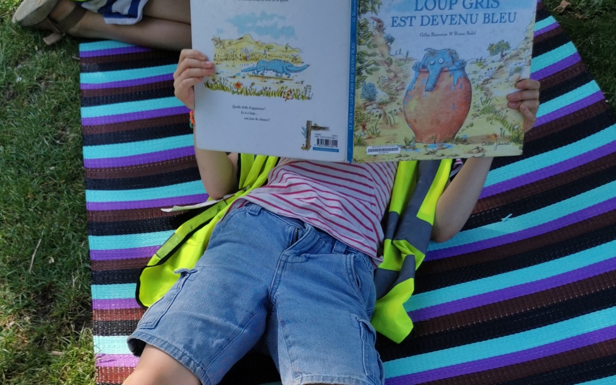 Bibliothèque Hors Les Murs place des Vosges Square Louis-XIII PARIS