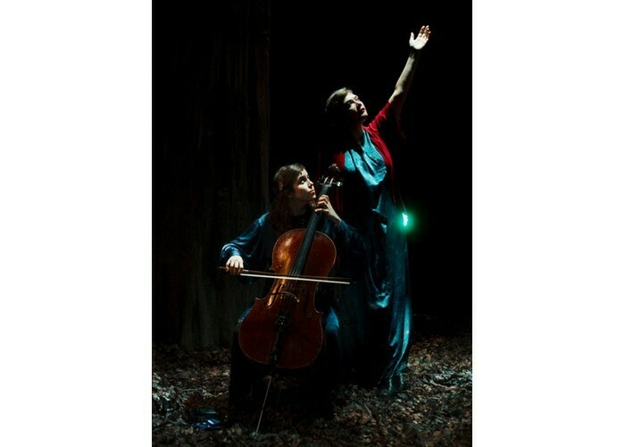 Birds On a Wire - Rosemary Standley & Dom la Nena Salle l'Odyssée Orvault