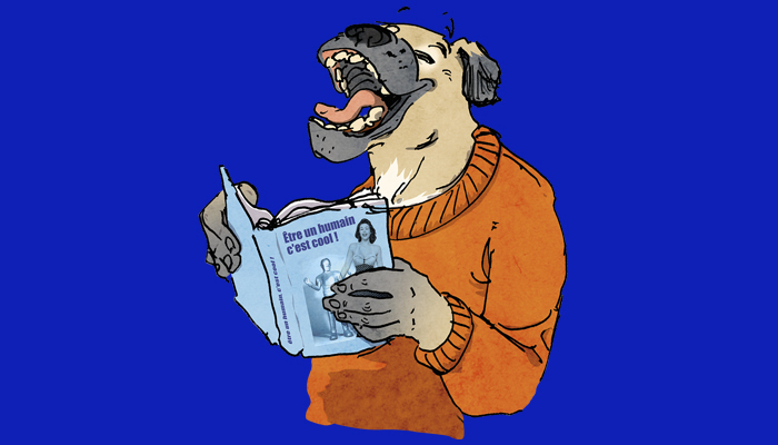 Café BD Bibliothèque de la Manufacture Café BD Bibliothèque de la Manufacture