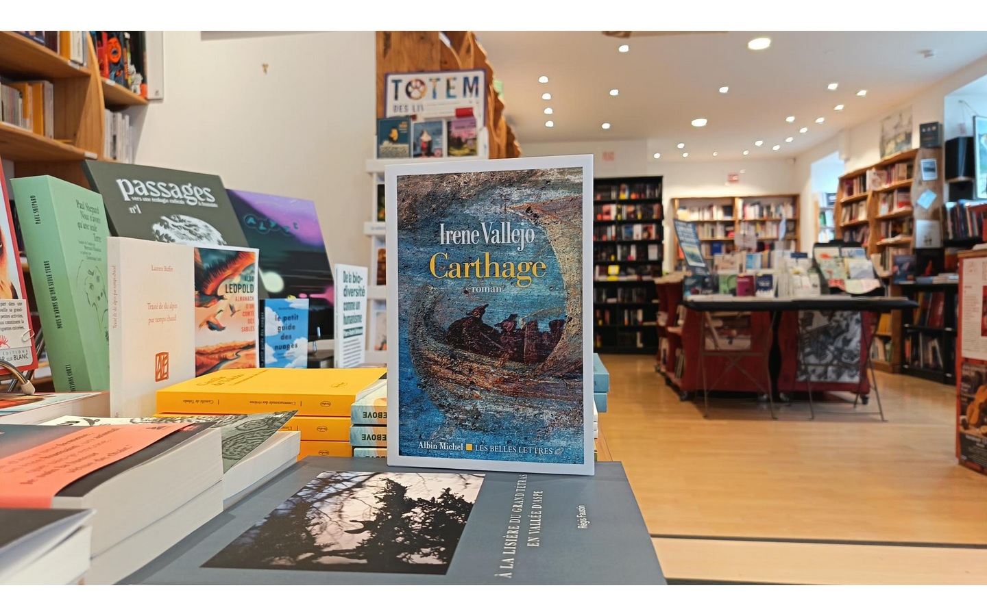 Carthage d'Irene Vallejo rencontre avec la traductrice Bernadette Engel-Roux 19 Rue des Cordeliers Pau 2026-04-01