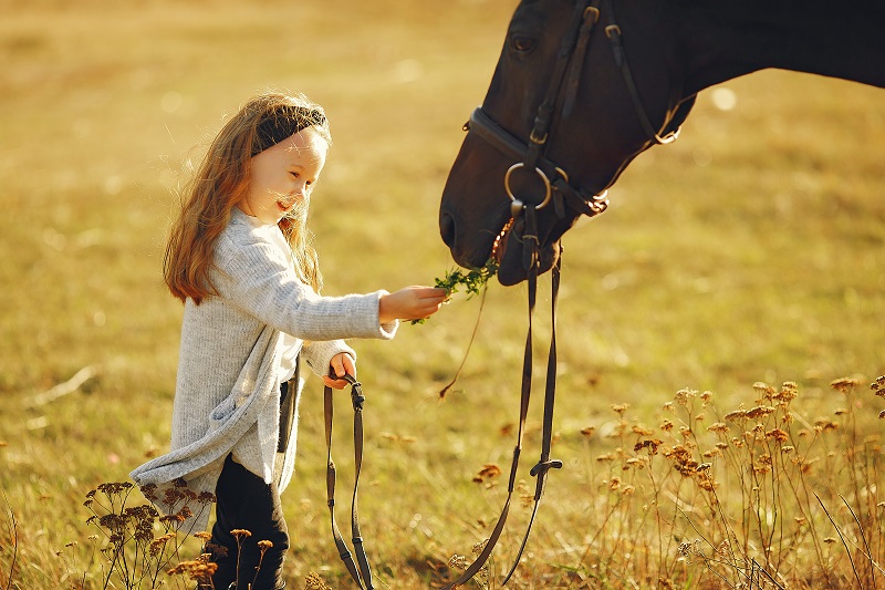 Cavalier Autrement balade à poney 12 Hameau Moisy La Haye-d'Ectot 2026-04-18