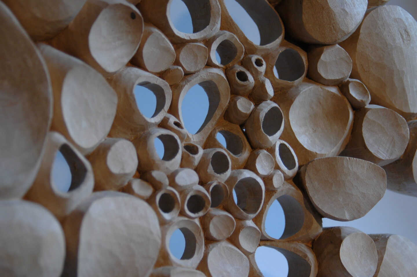 Cellules de Matière Sculptures sur bois aux formes organiques 19 Boulevard Louis Blanc Limoges 2026-03-31