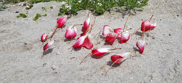 Cercle de femmes salle de réunion