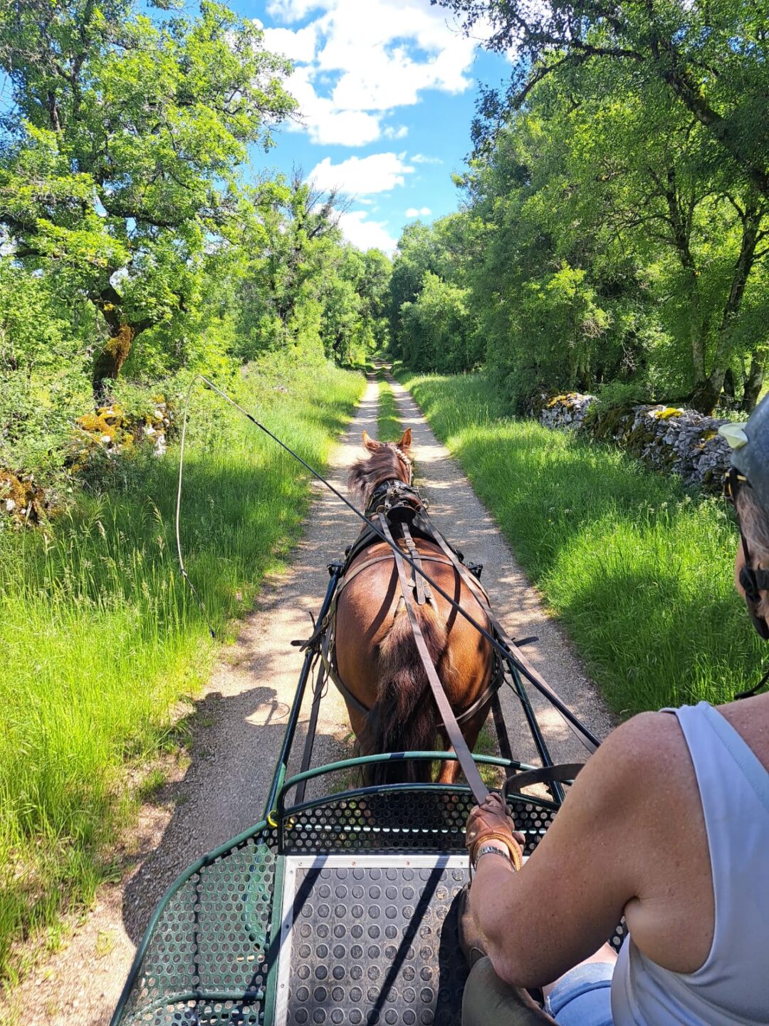 Challenge Kalapca Loisirs balades en calèche